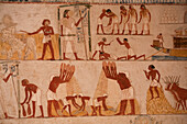 Getreideernte, Wandmalereien, Grab des Menna, TT69, Gräber der Adligen, Antikes Theben, UNESCO-Welterbe, Luxor, Ägypten, Nordafrika, Afrika