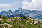 View over a high mountain meadow with towering summits of the Swiss Alps on the horizon in the Simplon area, Switzerland, Europe