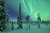 Das Nordlicht (Aurora borealis) erhellt den Himmel in der Nähe von Luosto in einer kalten Winternacht, Luosto, Finnland, Europa