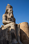 Statue von Ramses II., Hof von Ramses II., Luxor-Tempel, UNESCO-Weltkulturerbe, Luxor, Ägypten, Nordafrika, Afrika