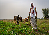 Einheimischer Mann und Vieh, Dorfleben, Guwahati, Assam, Indien, Asien