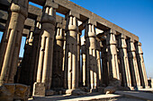 Papyrussäulen, Hof von Amenhotep III (Peristylhof), Luxor-Tempel, UNESCO-Welterbe, Luxor, Ägypten, Nordafrika, Afrika