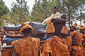 Paramount Chief Chitimukulu bei seiner Ankunft zu Beginn der Ukusefya Pa Ng'wena-Zeremonie auf seinem Krokodilsstuhl, Kasama, Sambia, Afrika