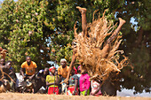 Maskierter Tänzer beim Salto, Die traditionelle Kulamba-Zeremonie des Chewa-Volkes aus Sambia, Mosambik und Malawi, die jährlich am letzten Samstag im August zu Ehren ihres Häuptlings Kalonga Gaia Uni in der Nähe von Katete, Ostprovinz, Sambia, Afrika, stattfindet