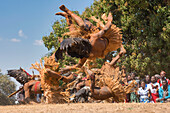 Maskentänzerinnen schlagen Purzelbäume, Die traditionelle Kulamba-Zeremonie des Chewa-Volkes aus Sambia, Mosambik und Malawi, die jährlich am letzten Samstag im August zu Ehren ihres Häuptlings Kalonga Gaia Uni in der Nähe von Katete, Ostprovinz, Sambia, Afrika, stattfindet