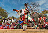 Maskentänzer, Die traditionelle Kulamba-Zeremonie des Chewa-Volkes aus Sambia, Mosambik und Malawi, die jährlich am letzten Samstag im August zu Ehren ihres Häuptlings Kalonga Gaia Uni in der Nähe von Katete, Ostprovinz, Sambia, Afrika, stattfindet