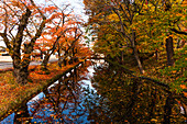 Buntes Herbstlaub und Blätter im Stadtgraben von Hirosaki, Honshu, Japan, Asien