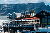 V and A (Victoria and Alfred) Waterfront, ein gemischt genutztes Gebiet im ältesten funktionierenden Hafen der südlichen Hemisphäre, mit dem Tafelberg im Hintergrund, das 123 Hektar große Viertel liegt in Kapstadt, Westkap, Südafrika, Afrika