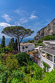 Blick auf Villen und Meer von Capri-Stadt aus, Insel Capri, Golf von Neapel, Kampanien, Italien, Mittelmeer, Europa