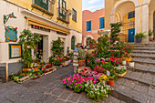 View of flower display outside florists in street, Capri Town, Isle of Capri, Campania, Italy, Mediterranean, Europe