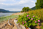 Saguenay National Park, Baie Sainte-Marguerite, Province of Quebec, Canada, North America