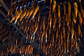 Fumoir d'Antan, a traditional herring smokehouse, Pointe-Basse, Havre aux Maisons island, Magdalen Islands, Gulf of Saint Lawrence, Quebec province, Canada, North America