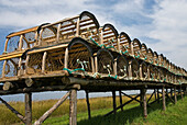 Lobster pots, Cap aux Meules island, Magdalen Islands, Gulf of Saint Lawrence, Quebec province, Canada, North America