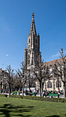 View of Bern Minster, a Swiss Reformed cathedral, built in the Gothic style, the tallest cathedral in Switzerland, Old City, UNESCO World Heritage Site, Bern, Switzerland, Europe