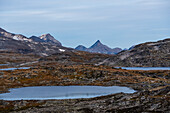 Glacial mountains with melt water lakes, Sognefjellet Mountain Pass, Jotunheimen National Park, Norway, Scandinavia, Europe