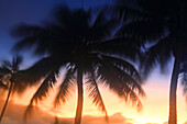 Sonnenuntergang und Palmen, Edgewater Resort, Rarotonga, Cookinseln, Südpazifik, Pazifik