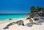 Pink Beach, South Shore, Smiths Parish, Bermuda, Atlantik, Nordamerika