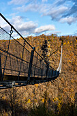 Geierlay suspension bridge in an autumn landscape with trees, Rhineland-Palatinate, Germany, Europe