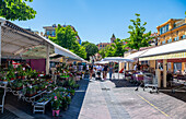 Historic town center, Nice, UNESCO World Heritage Site, Alpes Maritimes, French Riviera, France, Europe