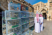 Vogelmarkt im Souq Waqif, Doha, Katar, Naher Osten