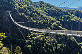 Blackforestline suspension bridge, Todtnau, Schwarzwald (Black Forest), Baden-Wurttemberg, Germany, Europe