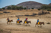 Young kids riding on donkeys to a water hole in the lowland of Eritrea, Africa