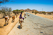 Junge reitet auf einem Esel im Tiefland von Eritrea, Afrika