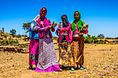 Bunt gekleidete Schulmädchen auf dem Heimweg in der prä-aksumitischen Siedlung von Qohaito (Koloe), Eritrea, Afrika