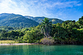 Regenwald im Gombe Stream National Park, Tanganjikasee, Tansania, Ostafrika, Afrika