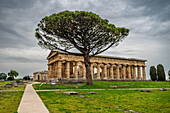 Die griechischen Tempel von Paestum, UNESCO-Welterbestätte, Kampanien, Italien, Europa