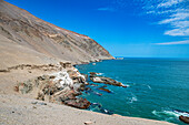 Coastline and recovery place of the Chinchorro Mummies, UNESCO World Heritage Site, Camarones Valley, northern Atacama desert, Chile, South America