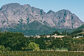 Pfade durch Blumen und Wildtiere im Mont Rochelle Nature Reserve mit Blick über das Franschhoek-Tal und Franschhoek, einer Stadt mit jahrhundertealten Weinbergen und kapholländischer Architektur, Franschhoek, Westkap, Südafrika, Afrika