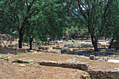 Ancient ruins of the Archaeological Site of Olympia, UNESCO World Heritage Site, Peloponnese, Greece, Europe