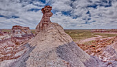 Ein Hoodoo-Turm in Form eines Pferdekopfes im Tal unterhalb der Blue Mesa im Petrified Forest National Park, Arizona, Vereinigte Staaten von Amerika, Nordamerika