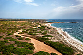 Su Bardoni wild beach, drone aerial view in the coast of Sardinia with camper vans parked, Sardinia, Italy, Mediterranean, Europe