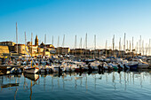 Alghero city marina with boats and yachts, Alghero, Sardinia, Italy, Mediterranean, Europe