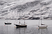 Vergnügungsjachten vor Anker auf Loch Broom im Winter, Ullapool, Ross and Cromarty, Schottische Highlands, Schottland, Vereinigtes Königreich, Europa