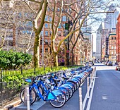 Bicycles for rent under the Citi Bike system which provides  33000 bikes for rent at 1900 stations, New York City, United States of America, North America