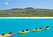 Brightly coloured kyaks in Gardner Bay, Espanola Island, Galapagos, UNESCO World Heritage Site, Ecuador, South America