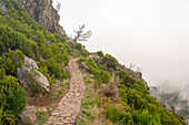 Wanderweg zum Pico Ruivo bei nebligem Wetter, Santana, Madeira, Portugal, Atlantik, Europa