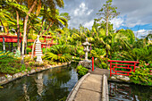 Orientalische Gärten, Tropischer Garten des Monte Palace, Funchal, Madeira, Portugal, Atlantik, Europa