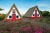 Traditionelle strohgedeckte Häuser mit Blumen in der Morgendämmerung, Santana, Madeira, Portugal, Atlantik, Europa