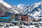 Bunte Häuser mit blauen Dächern vor den eisigen Gipfeln des Gangchempo. Kyanjin Gompa, Langtang-Tal-Trek, Himalaya, Nepal, Asien