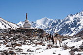 Stupa (chorten), Kyanjin Gompa, Langtang Valley trek, Himalayas, Nepal, Asia