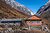 Bunte Blechhütten mit schneebedeckten Berggipfeln im Hintergrund auf dem Langtang-Tal-Trek, Himalaya, Nepal, Asien