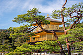 Goldener Tempel (Kinkaku-ji) (Tempel des Goldenen Pavillons), UNESCO-Welterbestätte, Kyoto, Honshu, Japan, Asien