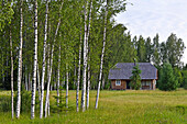 Blockhaus, Miskiniskes ländliche Unterkünfte, Aukstaitija National Park, Litauen, Europa