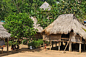 Thatched houses in a village of Embera native community living by the Chagres River within the Chagres National Park, Republic of Panama, Central America