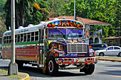 Diablo Rojo (Roter Teufel) Bus in Panama, Panama-Stadt, Republik Panama, Mittelamerika