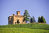 Mittelalterliche Burg von Grinzane Cavour in Weinbergen, Provinz Cuneo, Region Piemont, Italien, Europa